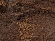 Shay Canyon Petroglyphs