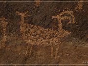 Shay Canyon Petroglyphs