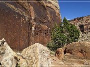 Shay Canyon Petroglyphs