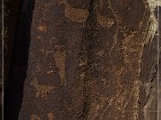 Shay Canyon Petroglyphs