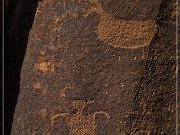 Shay Canyon Petroglyphs