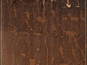 Shay Canyon Petroglyphs