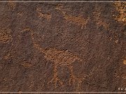 Shay Canyon Petroglyphs