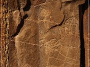 Shay Canyon Petroglyphs